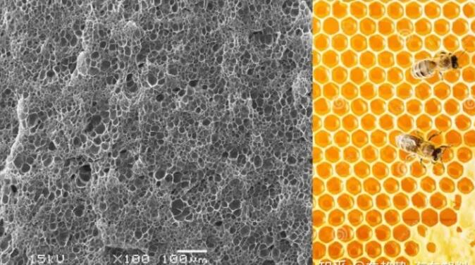 epp發(fā)泡聚丙烯的顯微結(jié)構(gòu),可以看到這是種連續(xù)閉孔結(jié)構(gòu),類似于蜂窩 epp發(fā)泡聚丙烯的顯微結(jié)構(gòu),可以看到這是種連續(xù)閉孔結(jié)構(gòu),類似于蜂窩